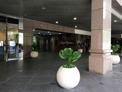 51 Cuppage Road (D9), Office #438019151